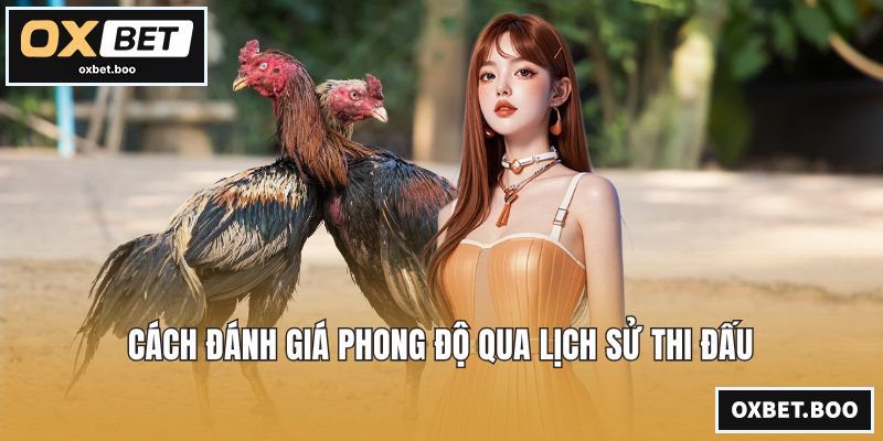 Cách đánh giá phong độ qua lịch sử thi đấu