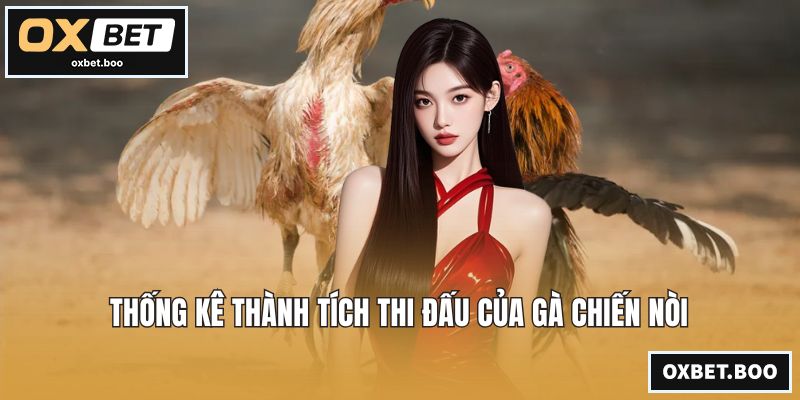 Thống kê thành tích thi đấu của gà chiến nòi