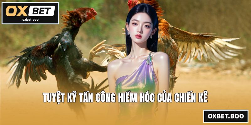 Tuyệt kỹ tấn công hiểm hóc của chiến kê
